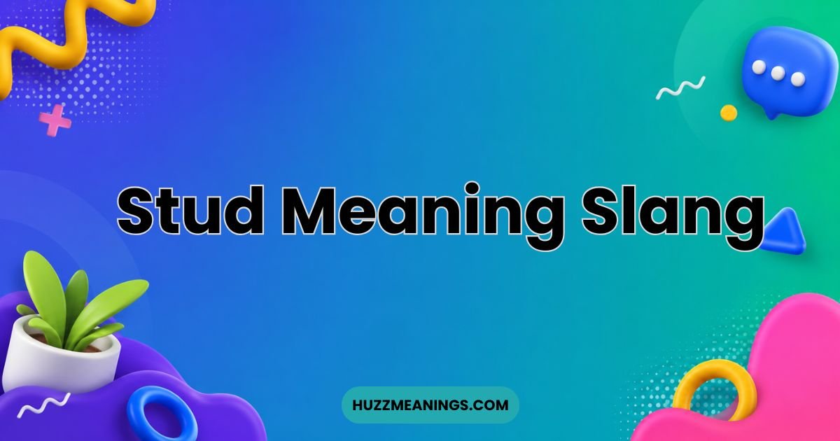 Stud Meaning Slang